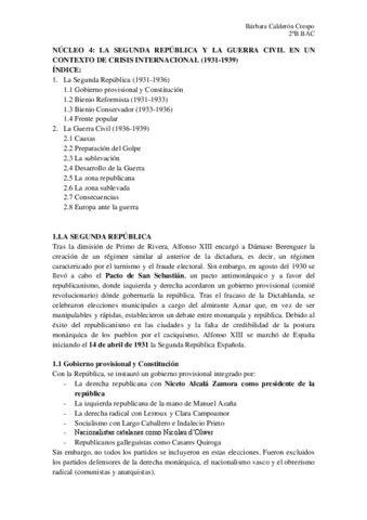 RESUMEN-NUCLEO-4.pdf