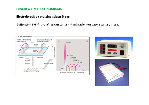 ResumenPracticasBQ.pdf
