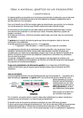 T5Material-Genetico-de-los-Procariotas.pdf
