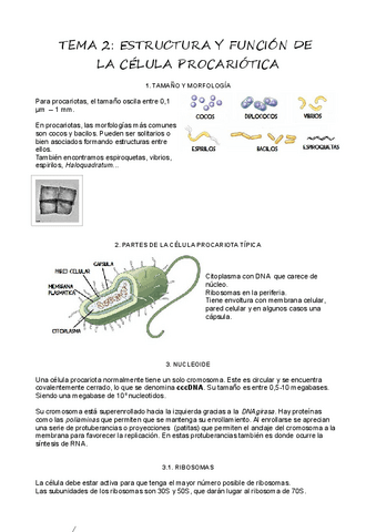 T2Celula-procariota.pdf
