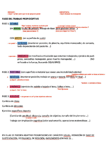 MEIF-Propiocepcion-resumen-practicas.pdf