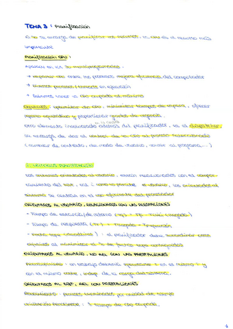 T3SO.pdf