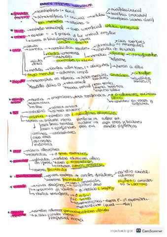 Histologia.-Examen-practico-imagenes.pdf