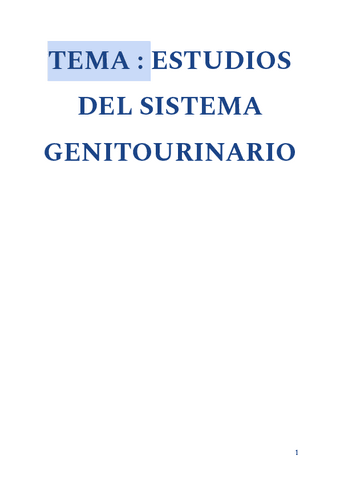 RE-TEMA-SISTEMA-GENITOURINARIO.pdf