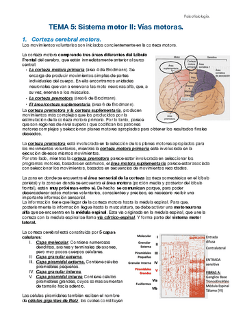 Tema-5-fisio.pdf