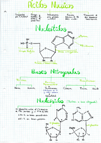 ACIDOS-NUCLEICOS.pdf