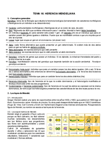 TEMA-16-Herencia-mendeliana.pdf