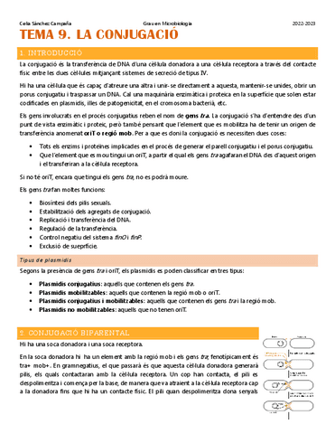 Tema-9.-La-conjugacio.pdf