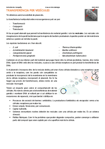 Tema-9.1.-Transferencia-per-vesicules.pdf