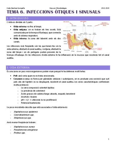 Tema-6.-Infeccions-otiques-i-sinusals.pdf