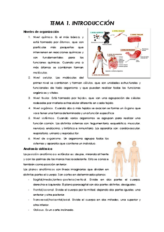 TEORIA-COMPLETA-2022.pdf