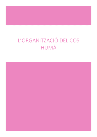 Tema-1.-Lorganitzacio-del-cos-huma.pdf