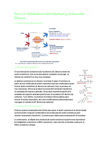 Tema-14-Metabolismo-colesterol-.pdf