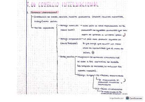 Tema-14-El-comercio-internacional.pdf