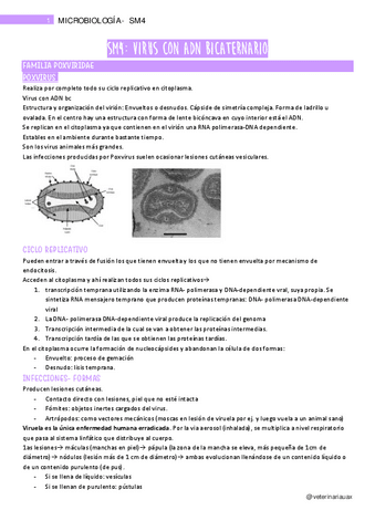 SM4.-Virus-con-ADN-bicaternario.pdf