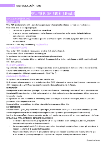 SM5.-Virus-con-ADN-bicaternario-II-pt.-1.pdf