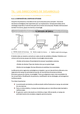 T6.-LAS-DIRECCIONES-DE-DESARROLLO.pdf