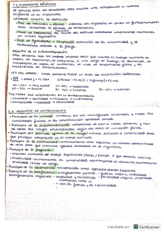 Teorico-Educacion-Fisica.pdf