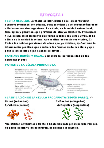 BIOLOGIA-1.pdf