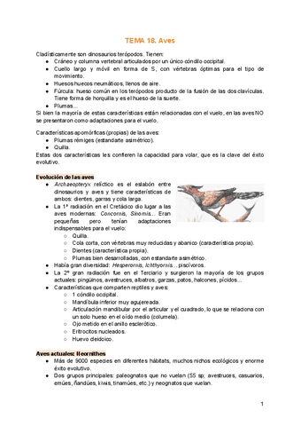 TEMA-18.-Aves.pdf