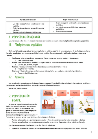 reproduccion-de-plantas.pdf