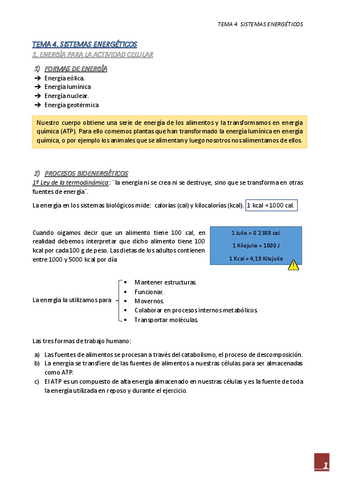 APUNTES-TEMA-4.pdf
