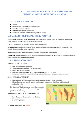 patologia-ingles-2022-2023.pdf