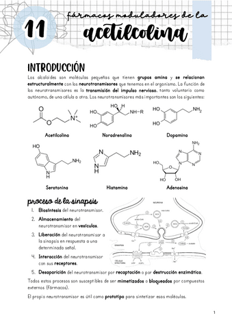 Tema-11.-Moduladores-de-la-acetilcolina.pdf