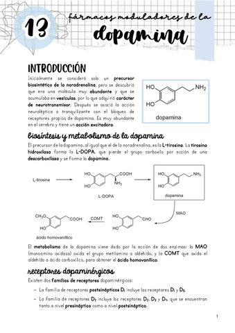 Tema-13.-Moduladores-de-la-dopamina.pdf
