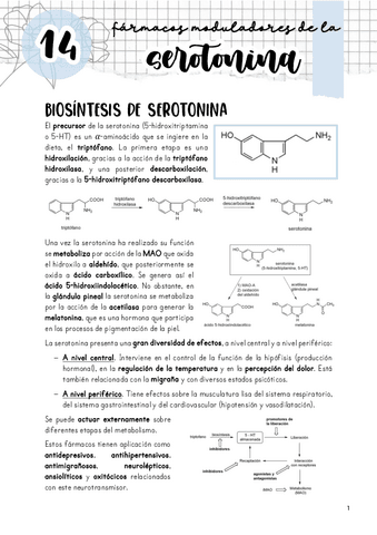 Tema-14.-Moduladores-de-la-serotonina.pdf