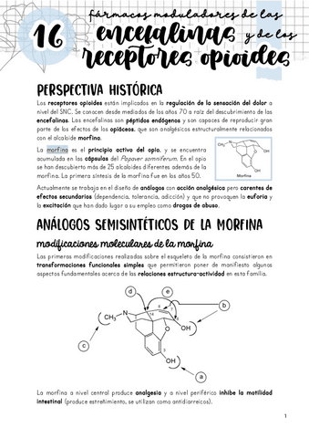 Tema-16.-Moduladores-de-las-encefalinas-y-de-los-receptores-opioides.pdf