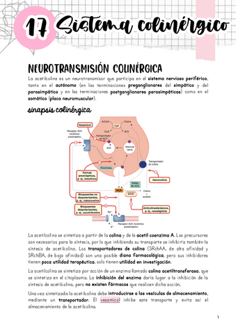 Tema-17.-Sistema-colinergico.pdf