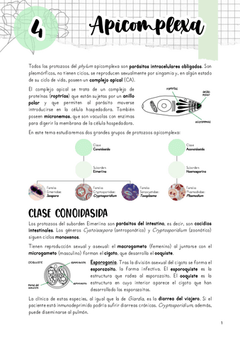 Tema-4.-Apicomplexa.pdf