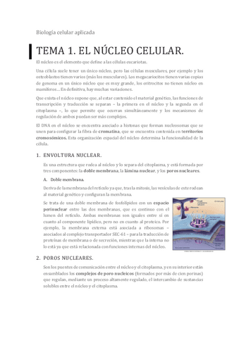 Tema-1-El-nucleo-celular.pdf