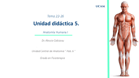 Tema22-26.Miologiadelmiemebroinferior.Pierna.pdf