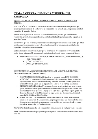 TEMAS-ECONOMIA.pdf