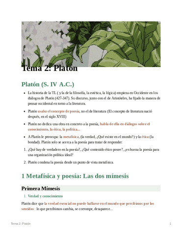 Tema2 TL- Platón.pdf