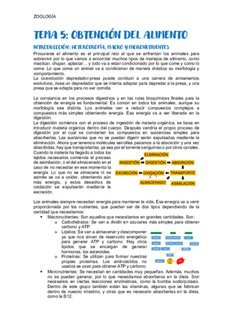 TEMA-5-ZOOLOGIA.pdf