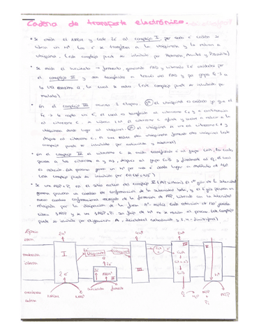 TODOS-LOS-CICLOS.pdf