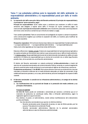 Tema-7.pdf