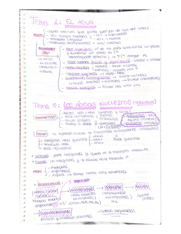 ESQUEMAS TEORIA + PRÁCTICAS.pdf