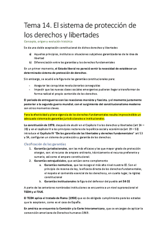 Tema-14-Constitucional.-El-sistema-de-proteccion-de-los-derechos-y-libertades.-2022.pdf