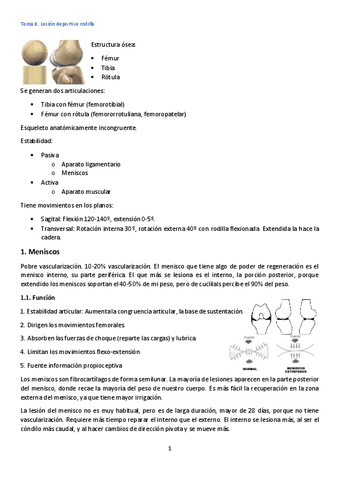 Tema-8.-Lesion-de-rodilla.pdf