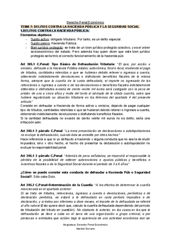 TEMA-7-Derecho-Penal-Economico.pdf