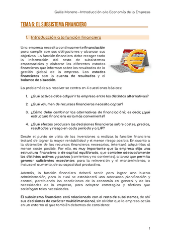 IEE-TEMA-6-EL-SUBSISTEMA-FINANCIERO.pdf