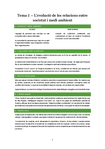 Tema-1-SIMA.pdf