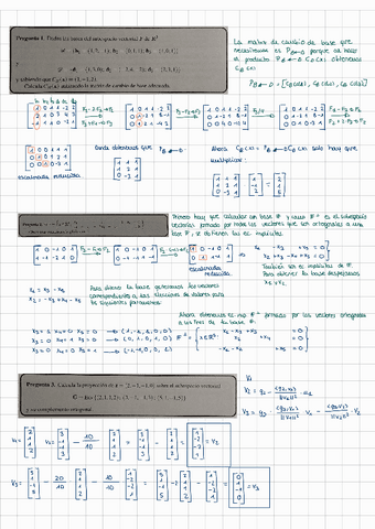 Examen-seminarios-13-16.pdf