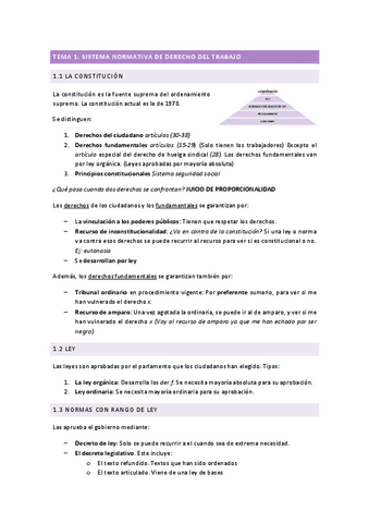 TEMA-1.pdf