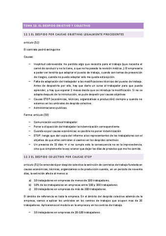 TEMA-12.pdf