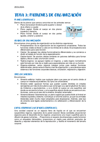 TEMA-3-ZOOLOGIA.pdf